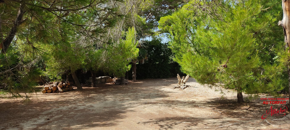 vente Maison La Palme - Photo 6