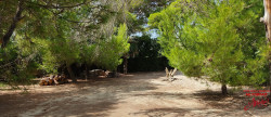 vente Maison La Palme