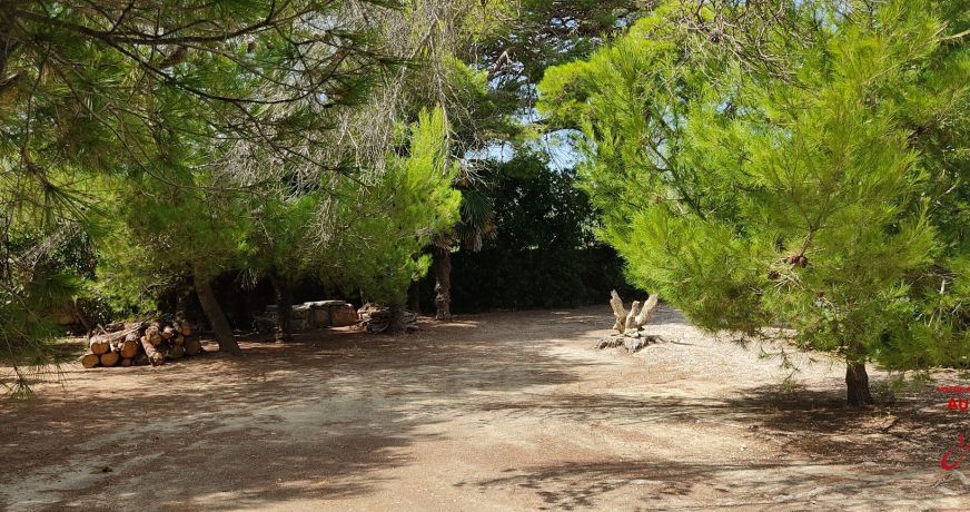 vente Maison La Palme