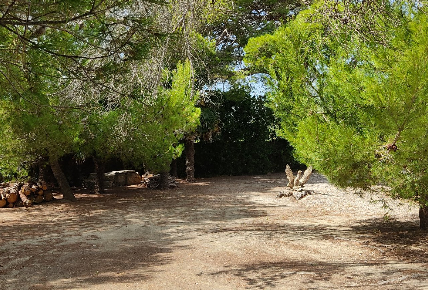 vente Maison La Palme - Photo 6