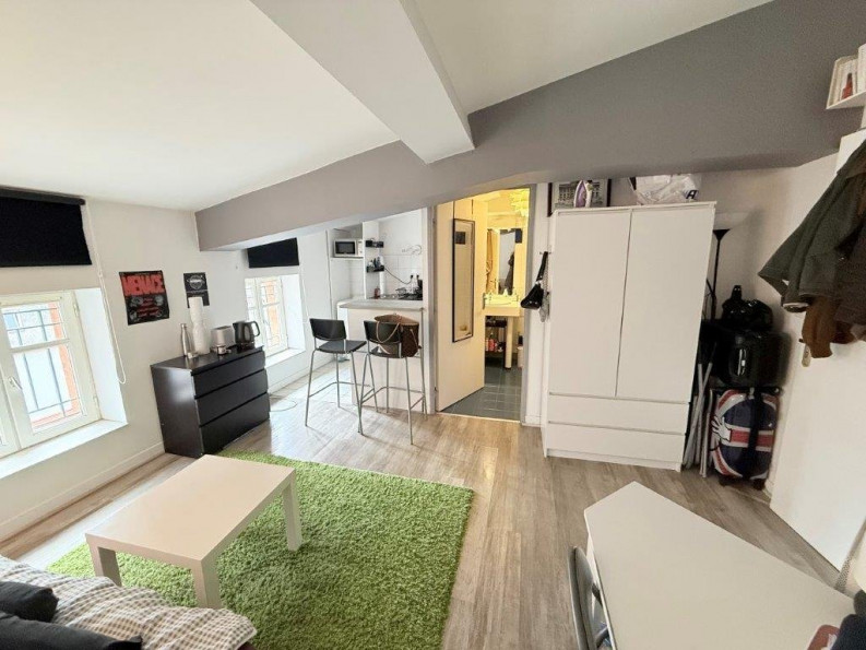 location Appartement Toulouse - Photo 1