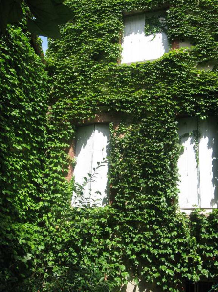 location Appartement Toulouse - Photo 6