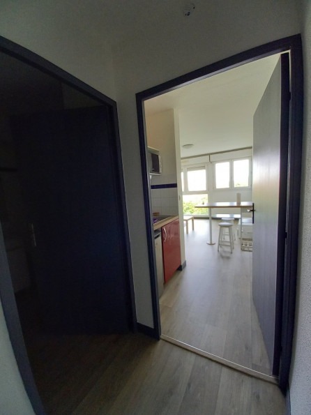 location Appartement Toulouse - Photo 6