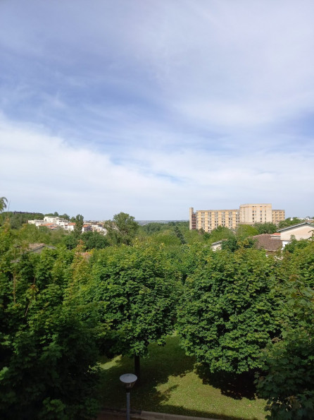 location Appartement Toulouse - Photo 8