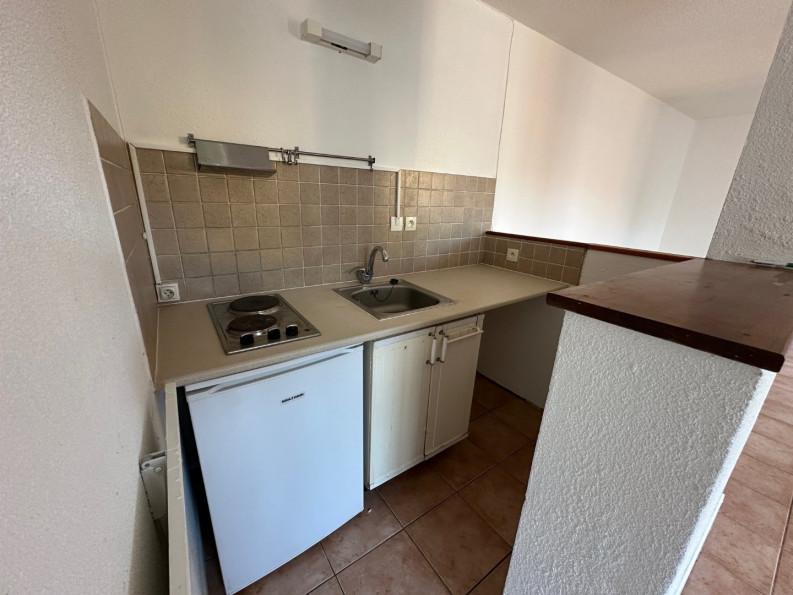 location Appartement Toulouse - Photo 6