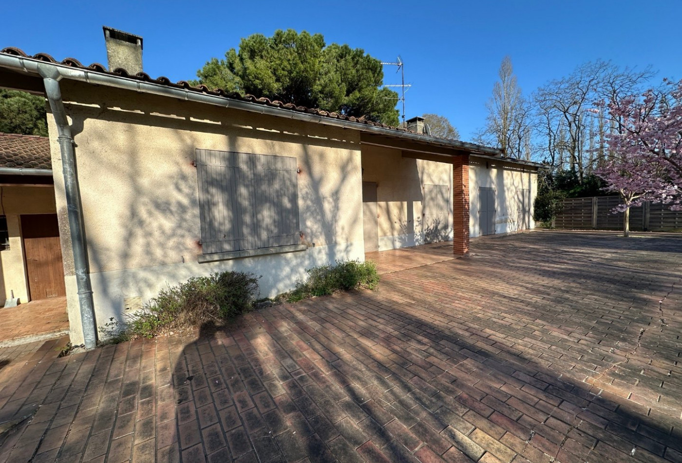 location Maison Auzeville-tolosane - Photo 2