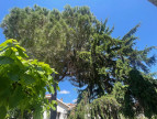 vente Maison Toulouse