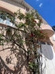 vente Maison Toulouse