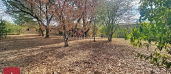 vente Terrain Saint-sulpice-la-pointe