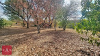 vente Terrain Saint-sulpice-la-pointe