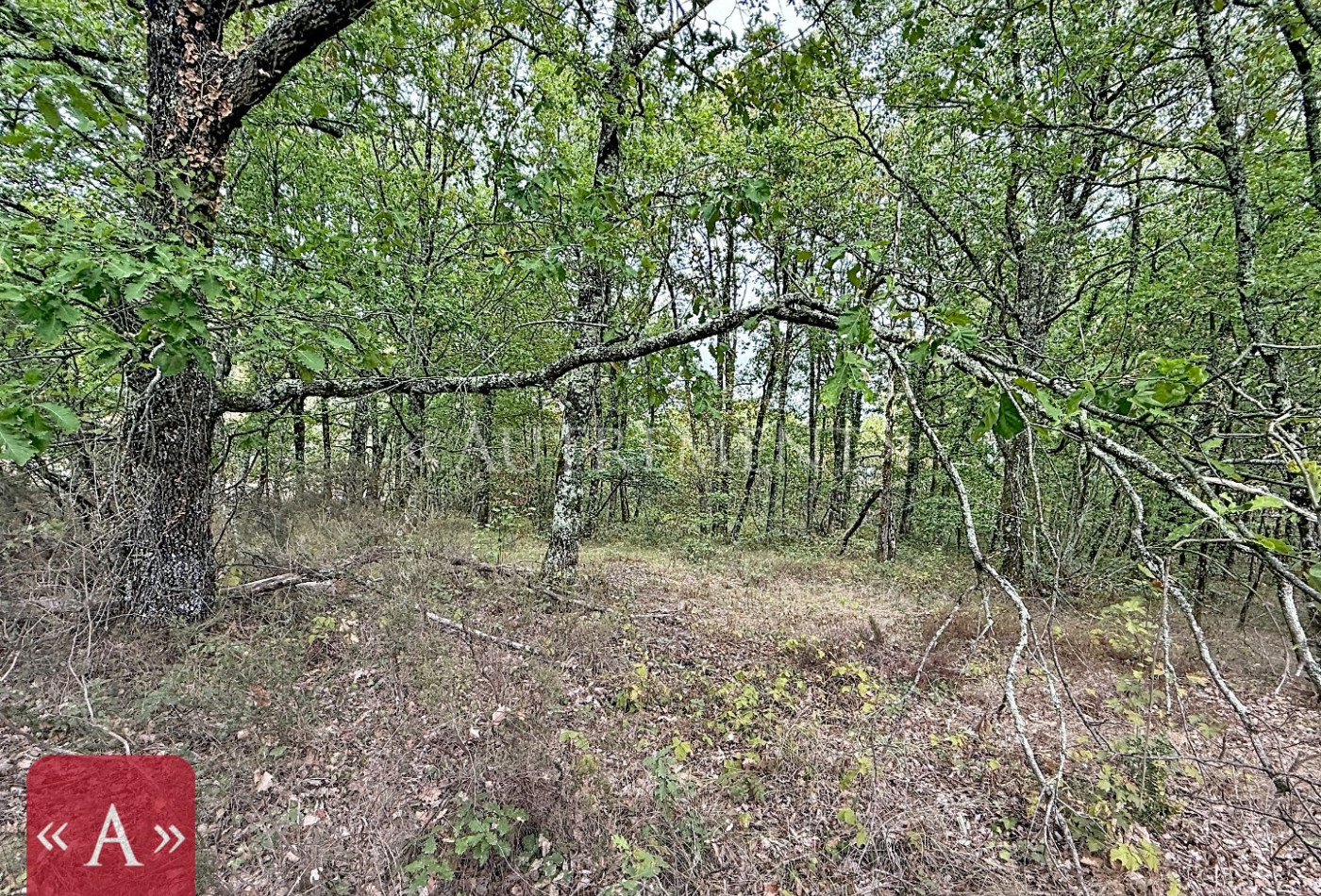 vente Maison Roquemaure - Photo 8