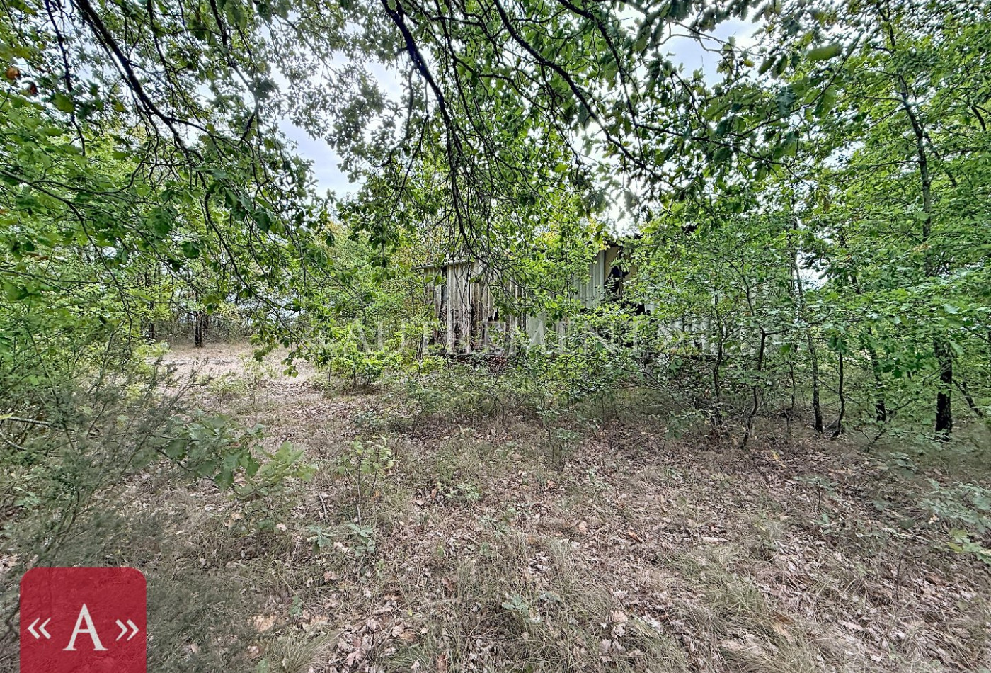 vente Maison Roquemaure - Photo 5