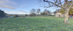 vente Terrain constructible Villemur-sur-tarn