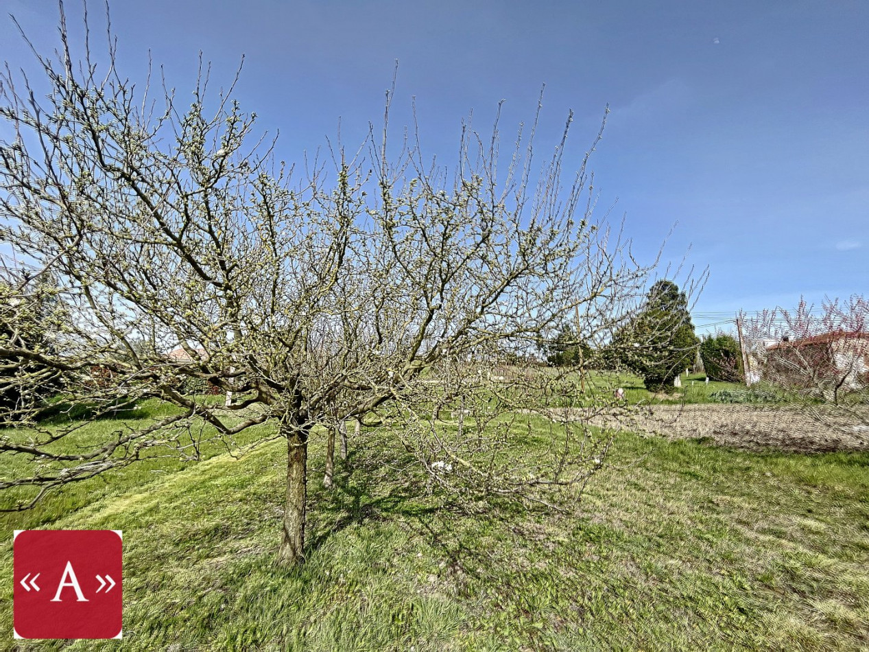 vente Terrain Giroussens - Photo 6