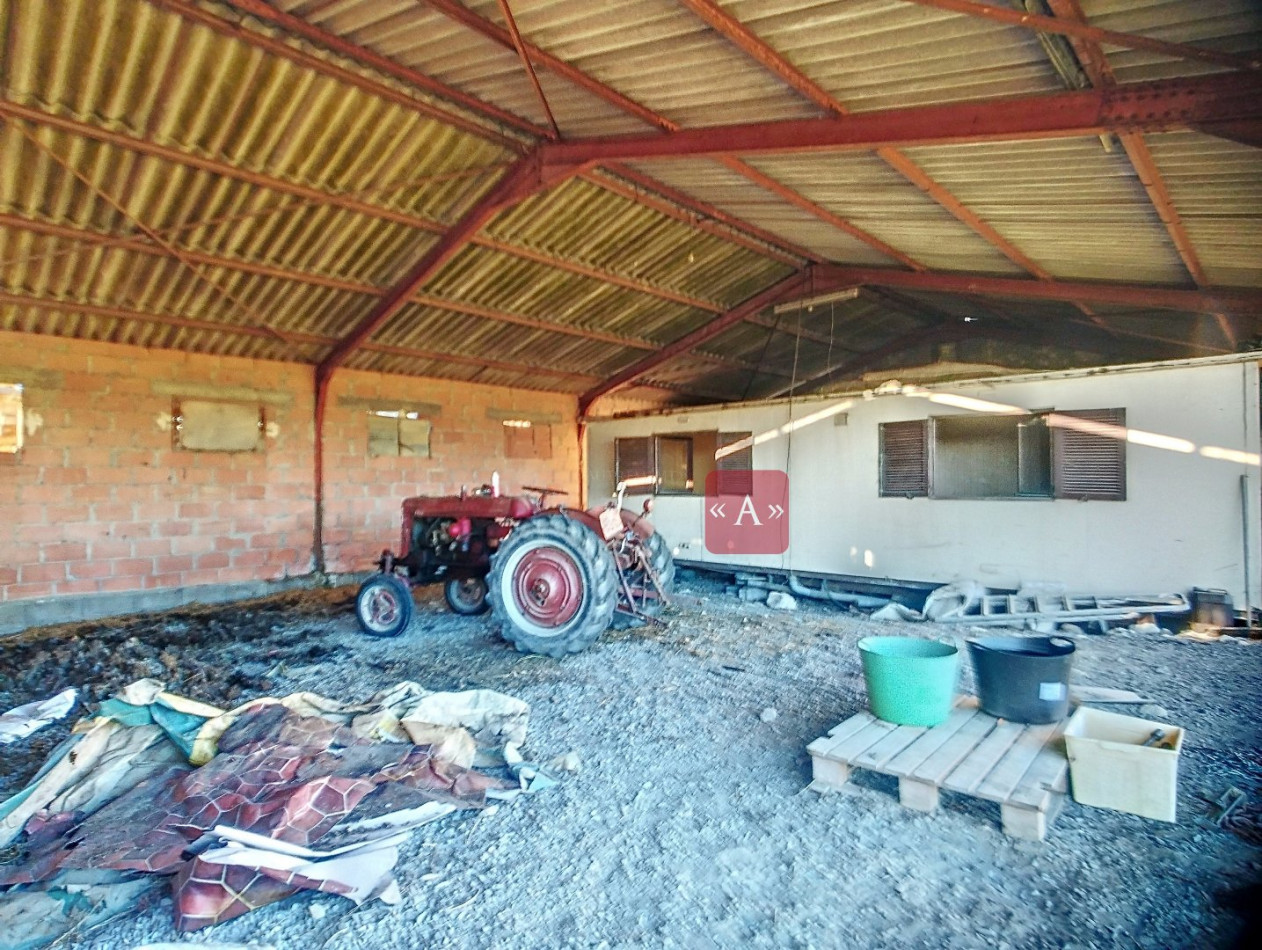 vente Corps de ferme Sieurac - Photo 15