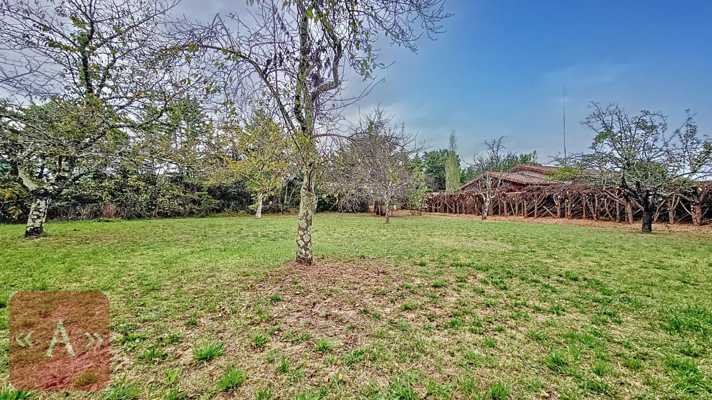 vente Terrain Rabastens - Photo 3