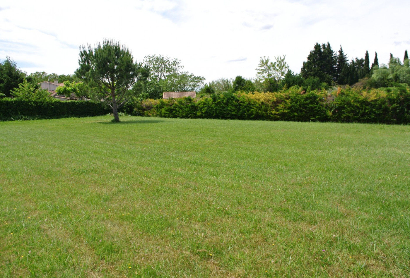 vente Terrain Saint-sulpice-la-pointe - Photo 1