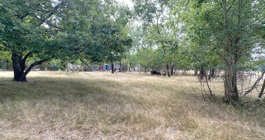 vente Maison Lisle-sur-tarn