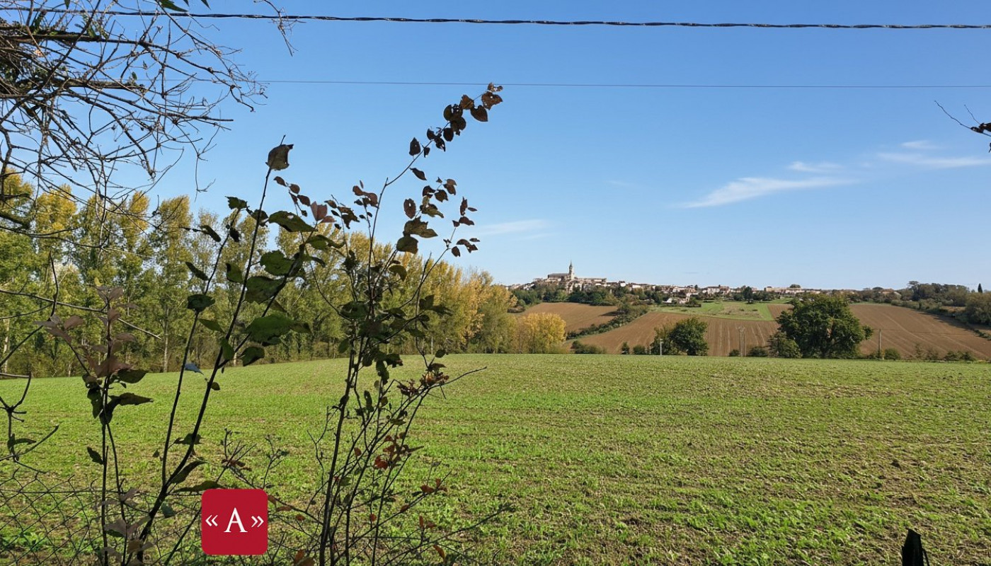 vente Maison Lisle-sur-tarn - Photo 20