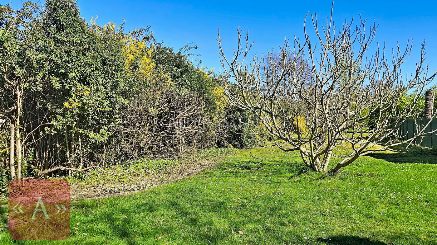 vente Terrain Saint-sulpice-la-pointe - Photo 5