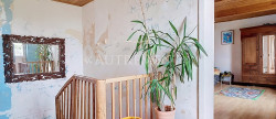 vente Maison Gaillac