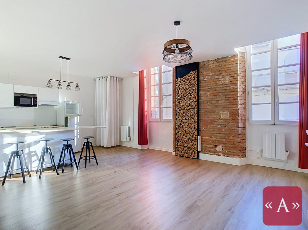 location Appartement Villemur-sur-tarn - Photo 1