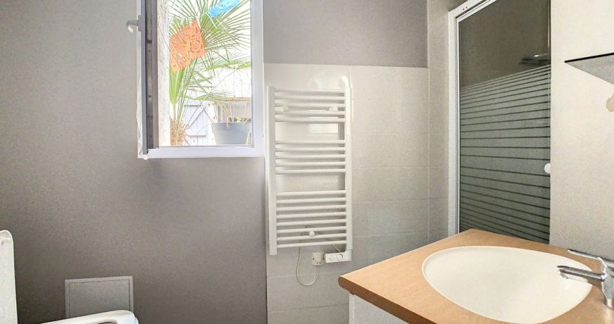 location Appartement Lisle-sur-tarn