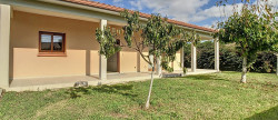 location Maison Buzet-sur-tarn
