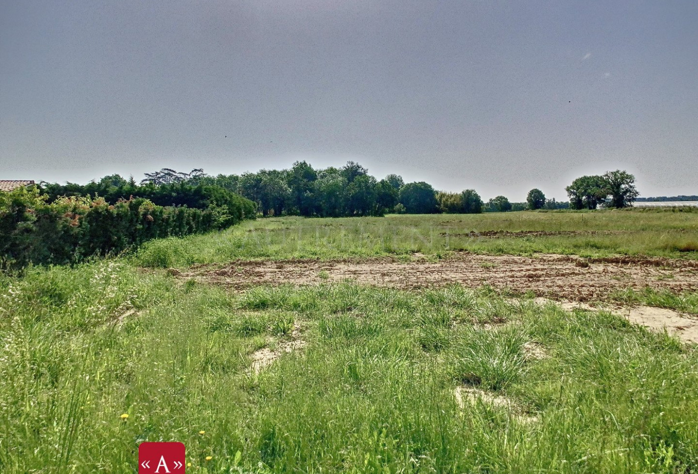 vente Terrain Buzet-sur-tarn - Photo 2