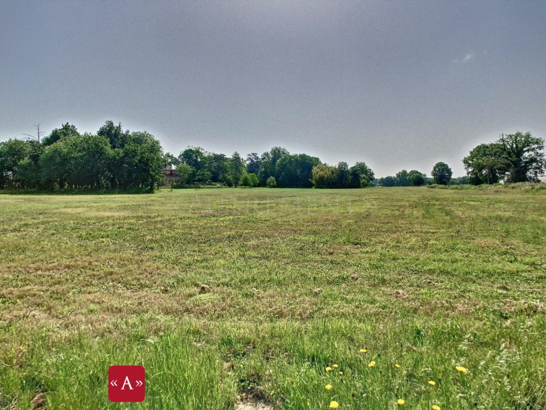 vente Terrain Buzet-sur-tarn - Photo 1