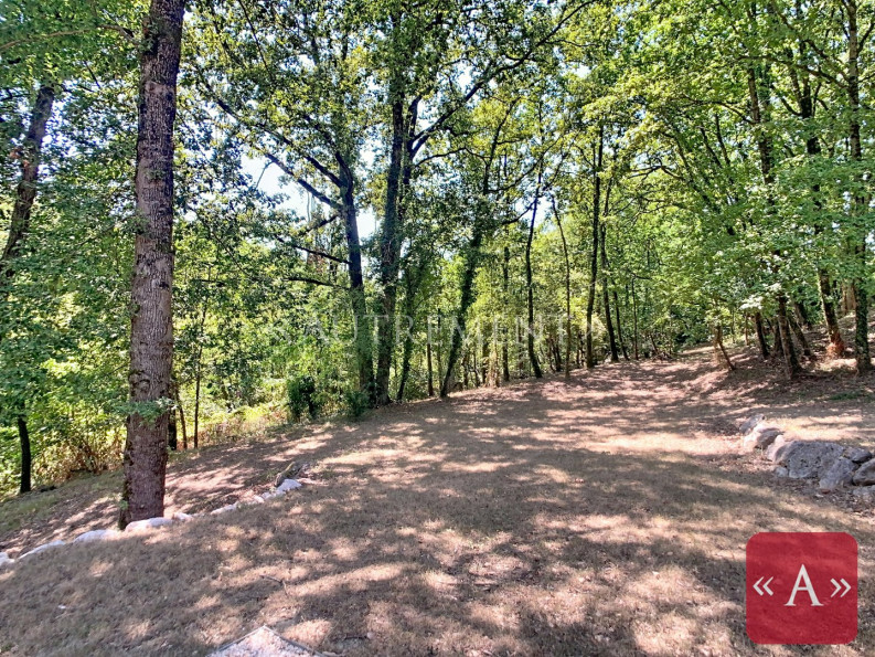 vente Maison Montastruc-la-conseillere - Photo 6