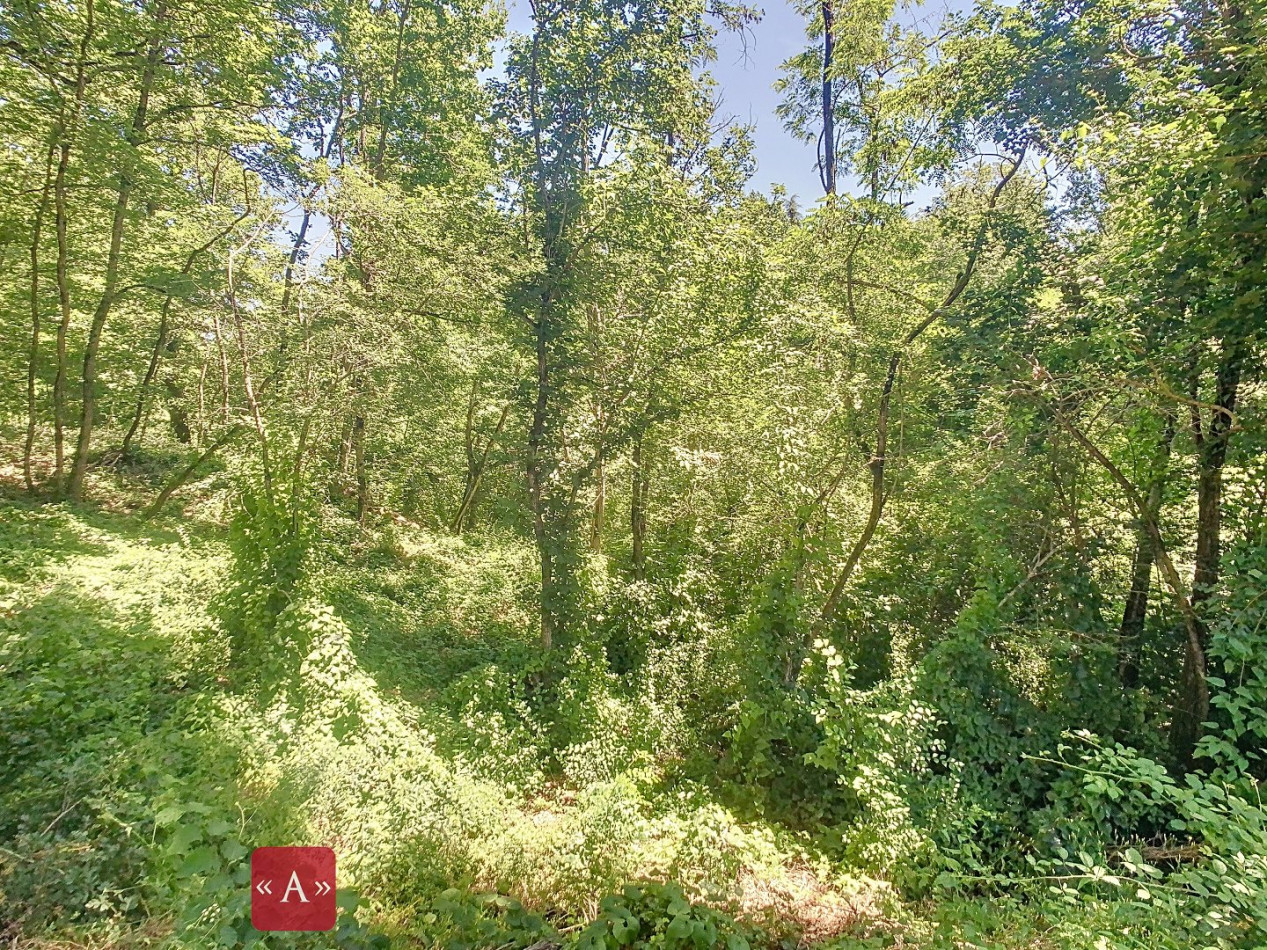 vente Maison Montastruc-la-conseillere - Photo 19