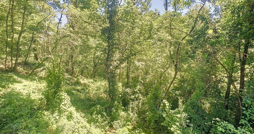 vente Maison Montastruc-la-conseillere