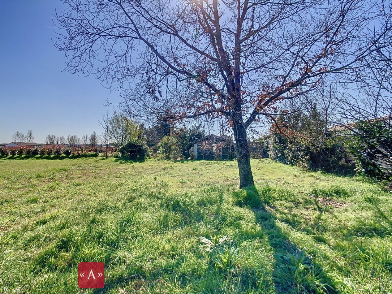 vente Terrain Buzet-sur-tarn - Photo 1