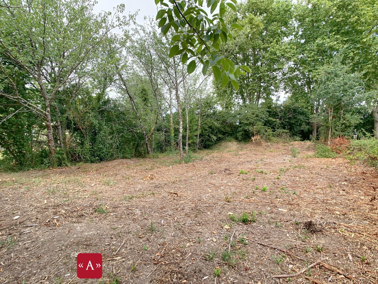 vente Terrain Bessieres - Photo 2