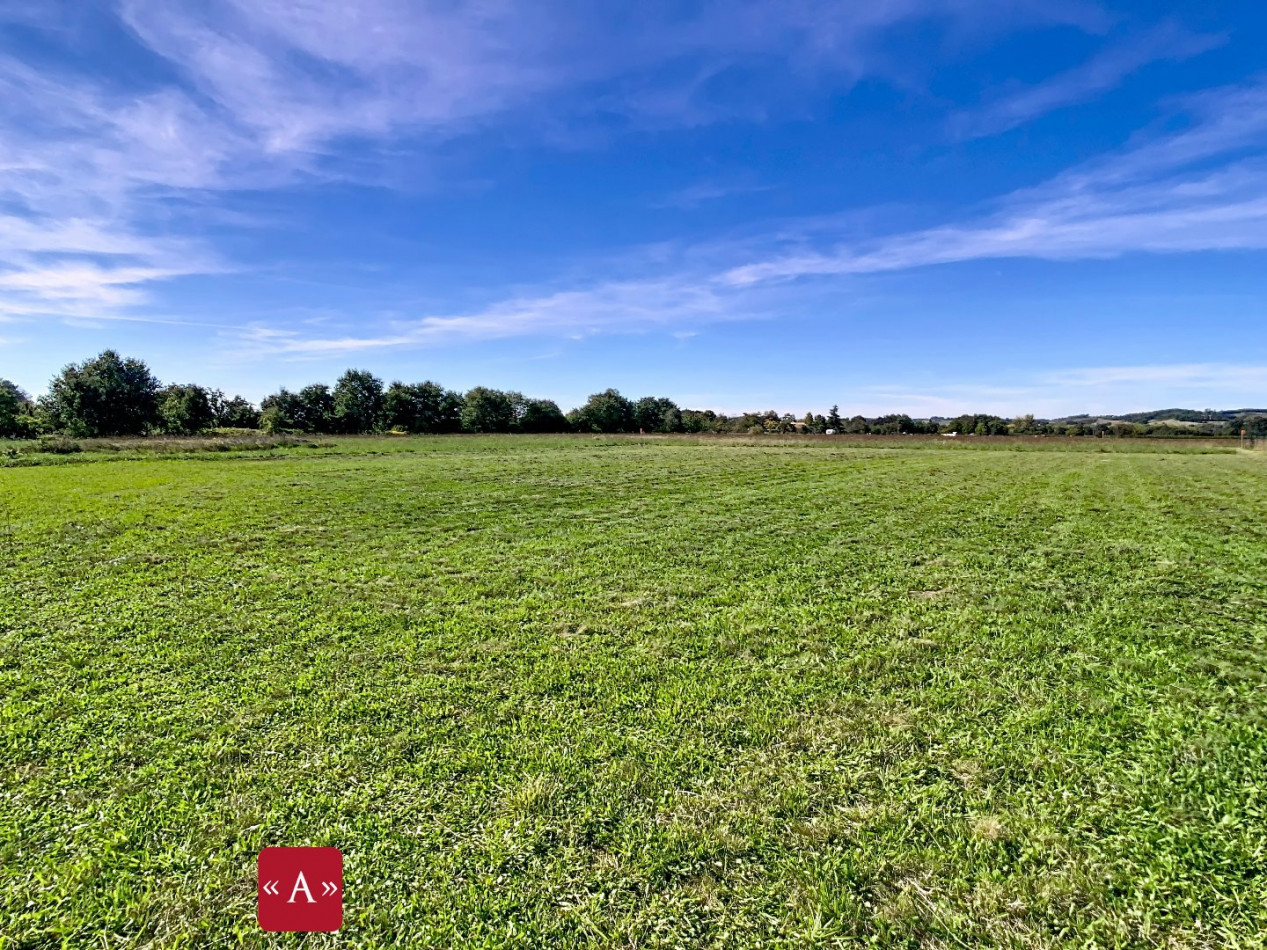 vente Terrain Lisle-sur-tarn - Photo 1