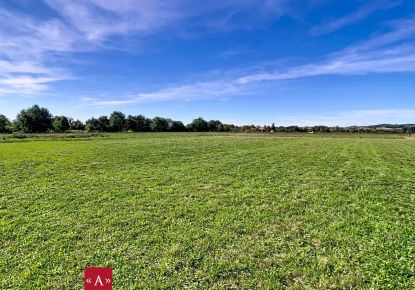 vente Terrain Lisle-sur-tarn