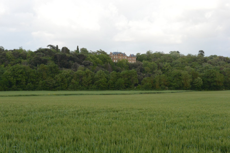 vente Terrain constructible Gimont - Photo 1