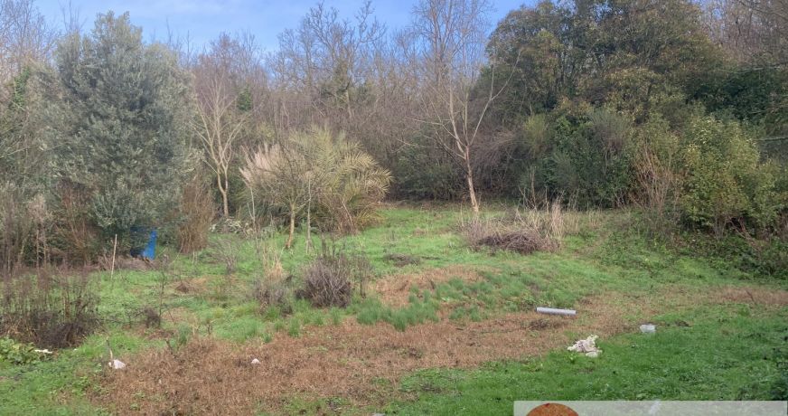 vente Maison L'isle-jourdain