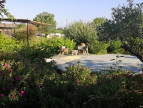 vente Maison Sainte Foy D'aigrefeuille