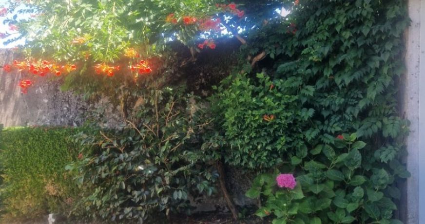 vente Maison Rieumes