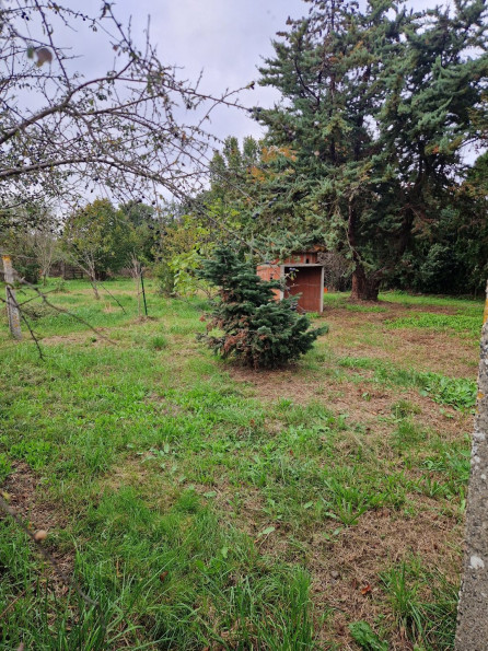 vente Terrain Lherm - Photo 1