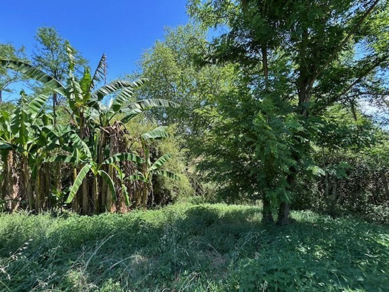à vendre Maison Lavernose-lacasse - Photo 8