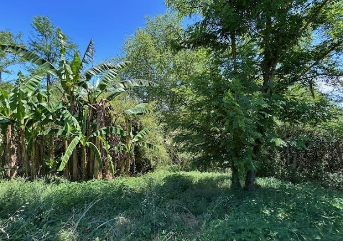 à vendre Maison Lavernose-lacasse