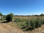 vente Maison Longages