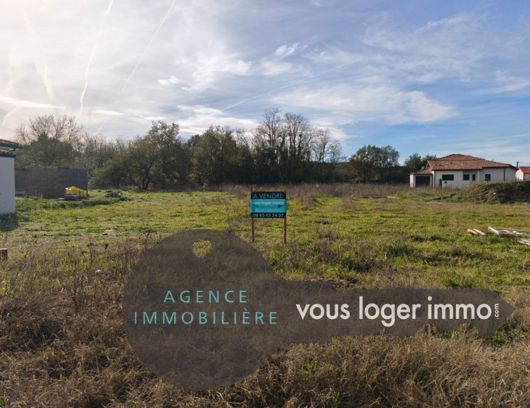 vente Terrain Noe - Photo 1