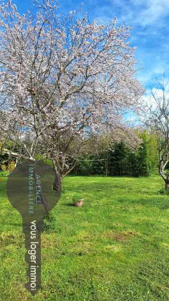 vente Terrain Carbonne - Photo 2