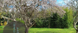 vente Terrain Carbonne