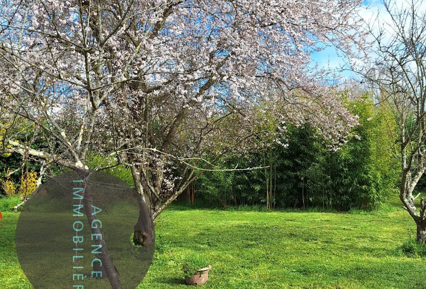 vente Terrain Carbonne - Photo 2