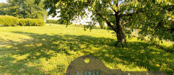 vente Terrain Rieumes